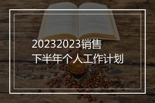 20232023销售下半年个人工作计划