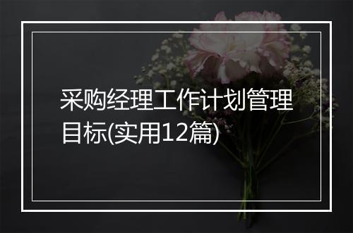 采购经理工作计划管理目标(实用12篇)