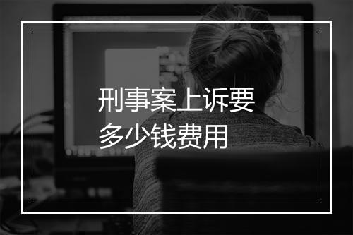 刑事案上诉要多少钱费用