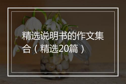 精选说明书的作文集合（精选20篇）
