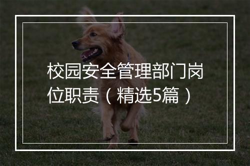 校园安全管理部门岗位职责（精选5篇）