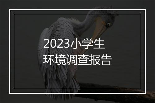 2023小学生环境调查报告
