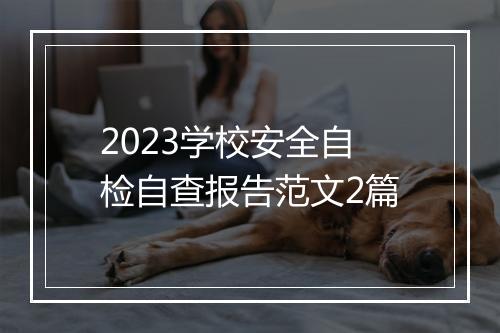 2023学校安全自检自查报告范文2篇