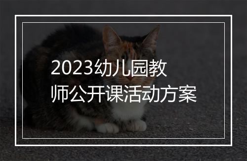 2023幼儿园教师公开课活动方案
