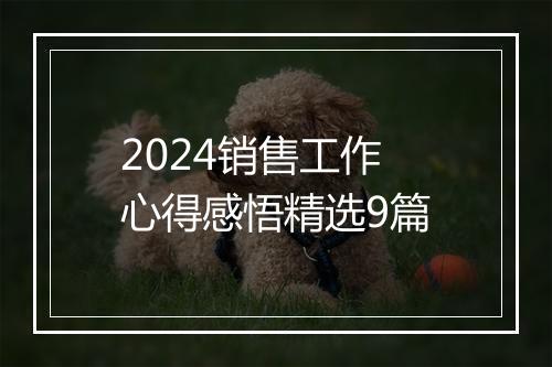 2024销售工作心得感悟精选9篇