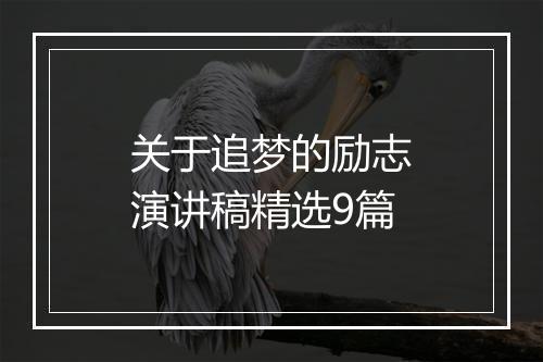 关于追梦的励志演讲稿精选9篇