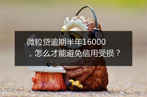 微粒贷逾期半年16000，怎么才能避免信用受损？