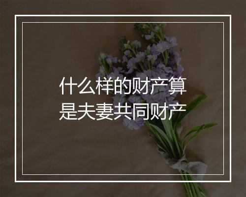 什么样的财产算是夫妻共同财产
