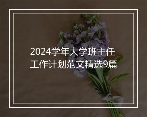2024学年大学班主任工作计划范文精选9篇