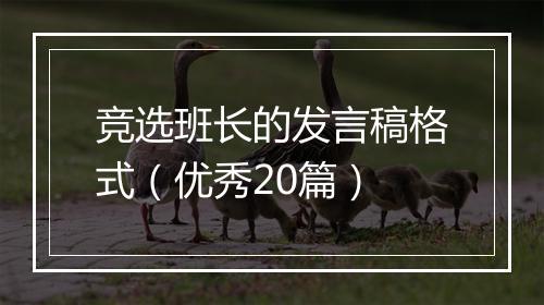 竞选班长的发言稿格式（优秀20篇）