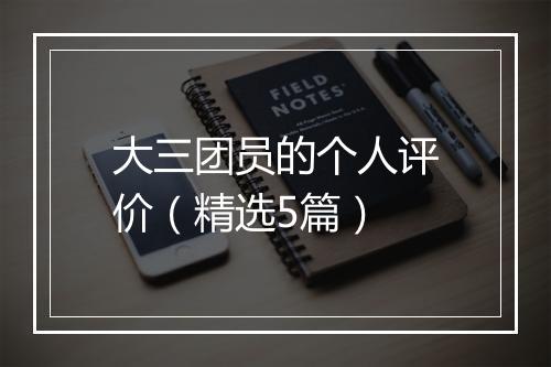 大三团员的个人评价（精选5篇）