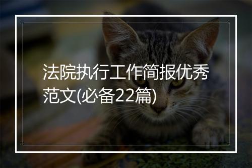 法院执行工作简报优秀范文(必备22篇)