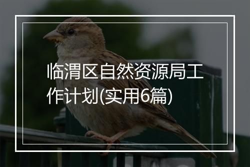 临渭区自然资源局工作计划(实用6篇)
