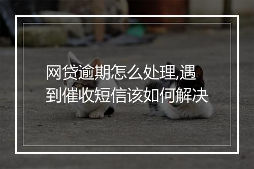 网贷逾期怎么处理,遇到催收短信该如何解决