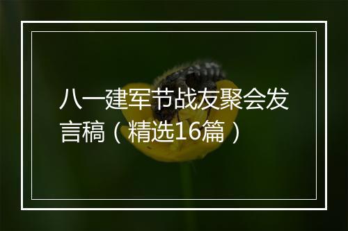 八一建军节战友聚会发言稿（精选16篇）