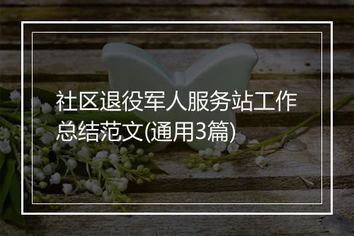 社区退役军人服务站工作总结范文(通用3篇)