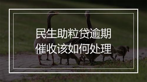 民生助粒贷逾期催收该如何处理