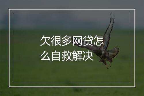 欠很多网贷怎么自救解决