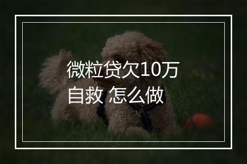 微粒贷欠10万自救 怎么做