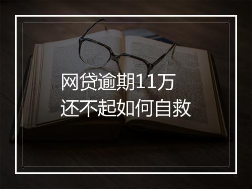 网贷逾期11万还不起如何自救