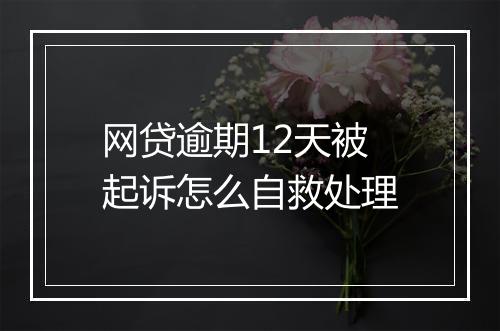 网贷逾期12天被起诉怎么自救处理