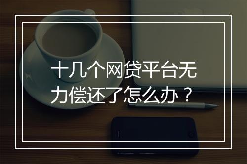 十几个网贷平台无力偿还了怎么办？