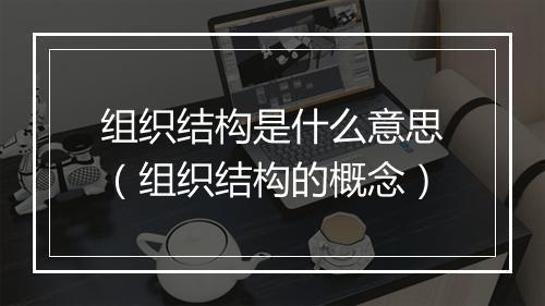 组织结构是什么意思（组织结构的概念）