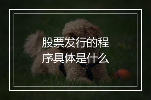 股票发行的程序具体是什么