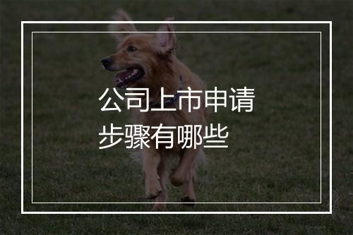 公司上市申请步骤有哪些