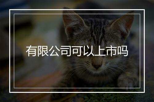 有限公司可以上市吗
