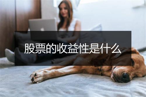 股票的收益性是什么