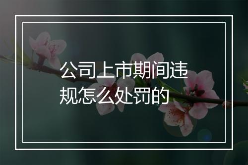 公司上市期间违规怎么处罚的