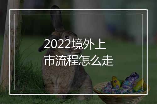 2022境外上市流程怎么走