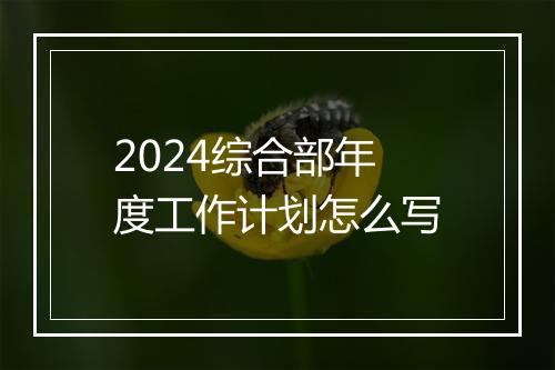 2024综合部年度工作计划怎么写