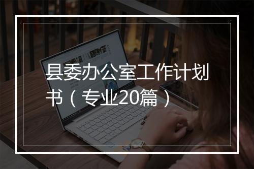 县委办公室工作计划书（专业20篇）