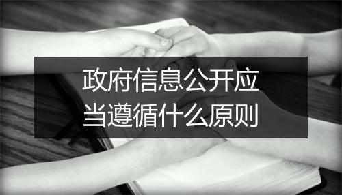 政府信息公开应当遵循什么原则