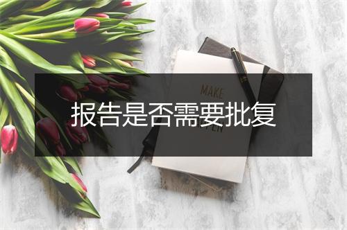 报告是否需要批复