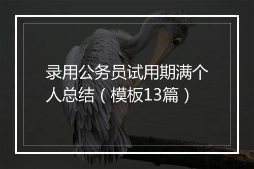 录用公务员试用期满个人总结（模板13篇）