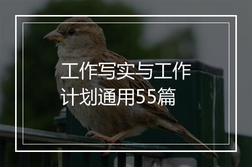 工作写实与工作计划通用55篇