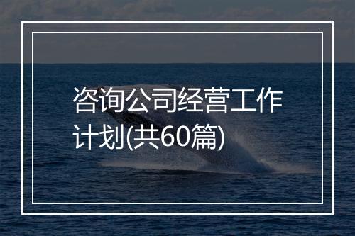 咨询公司经营工作计划(共60篇)