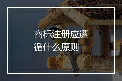 商标注册应遵循什么原则
