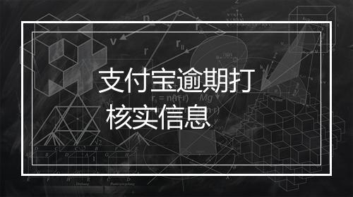 支付宝逾期打 核实信息