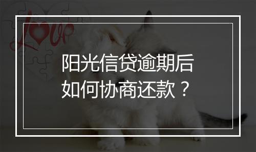 阳光信贷逾期后如何协商还款？