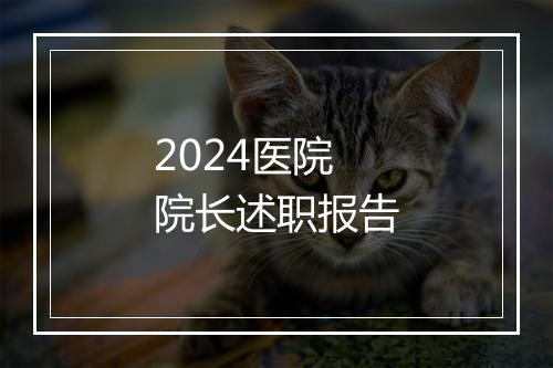 2024医院院长述职报告