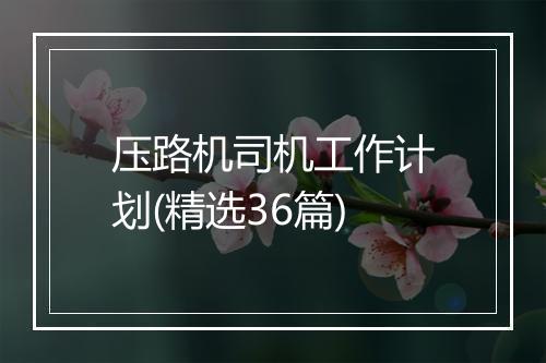 压路机司机工作计划(精选36篇)