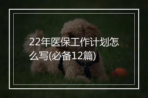 22年医保工作计划怎么写(必备12篇)
