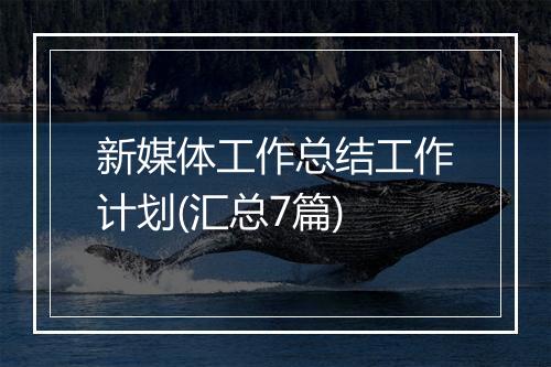 新媒体工作总结工作计划(汇总7篇)