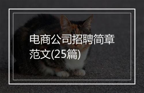 电商公司招聘简章范文(25篇)
