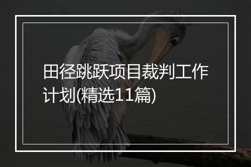 田径跳跃项目裁判工作计划(精选11篇)