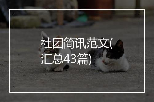 社团简讯范文(汇总43篇)